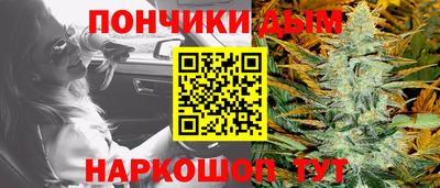 крисы Новозыбков