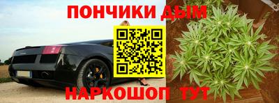 крисы Новозыбков