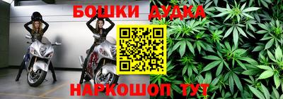 крисы Новозыбков