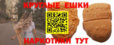 крисы Новозыбков