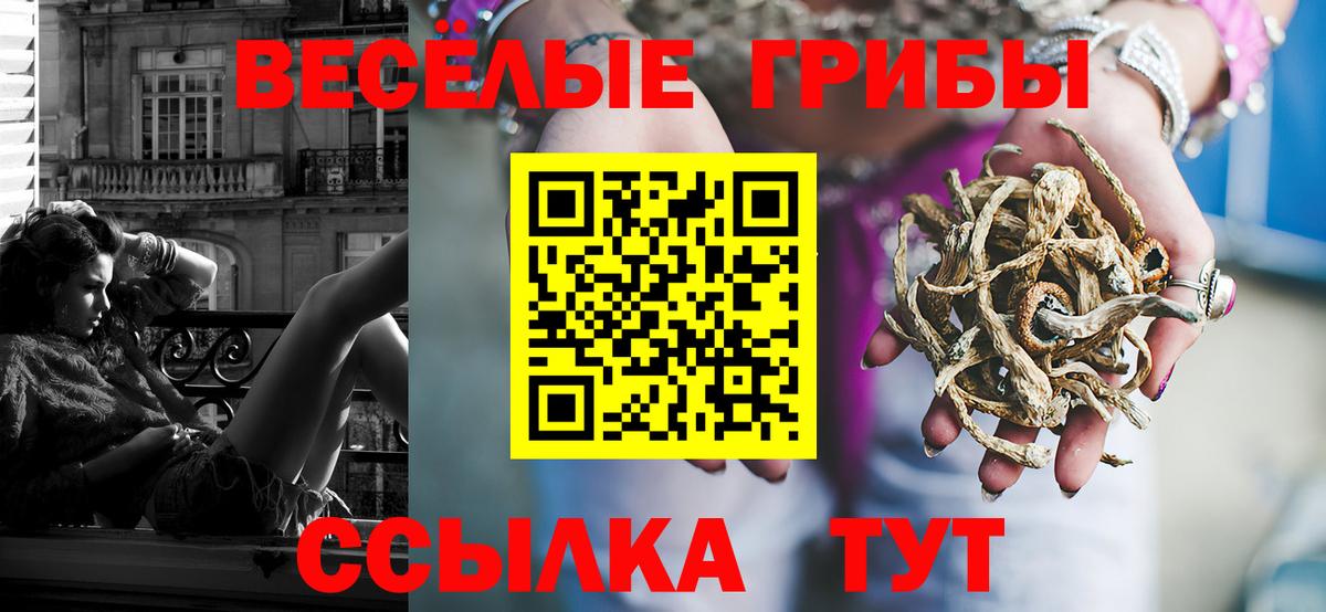 Солнечногорск  Псилоцибиновые грибы GOLDEN TEACHER  Вход с VPN 