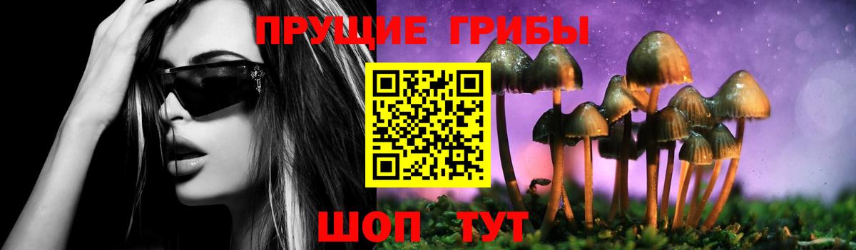Псилоцибиновые грибы Psilocybe Солнечногорск